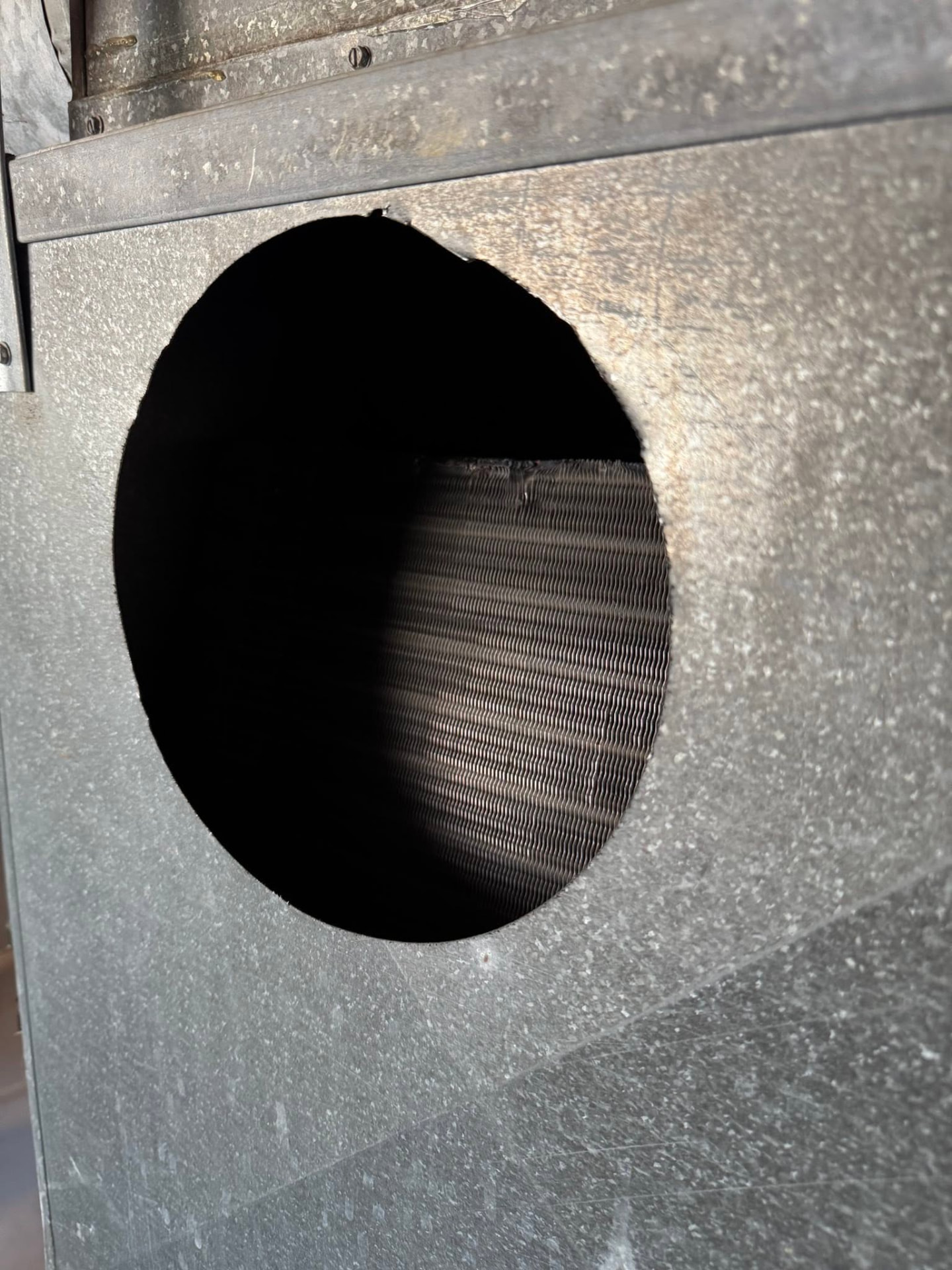 Access port cut into the main trunk line before cleaning