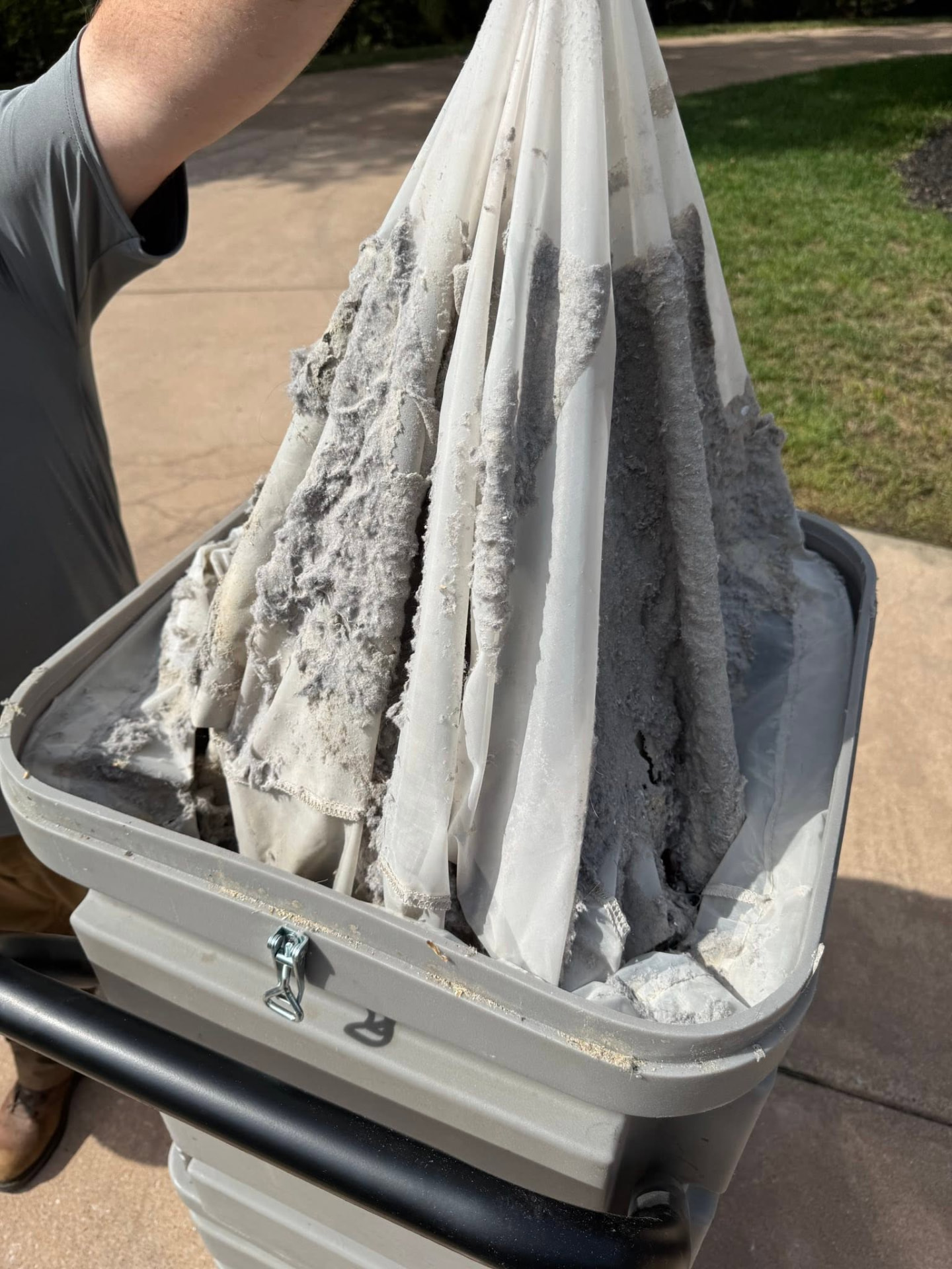Debris and dust collected in the vacuum's filter bag